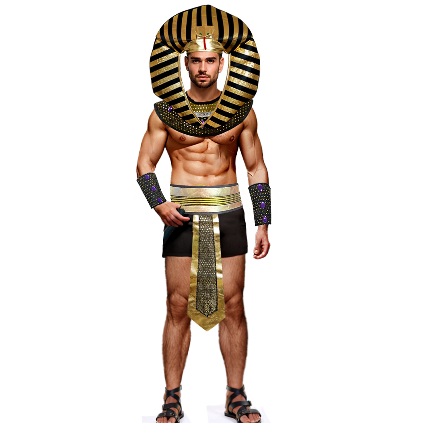 Karnaval Erkek Kostümü Mısır F - Men Accessories Egypt incelemesi ve fiyatı